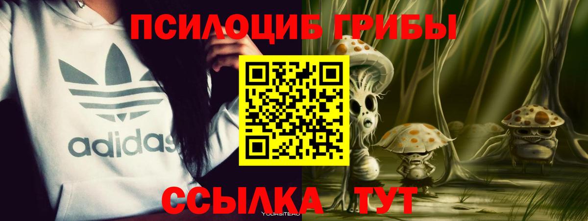 Дзержинск  Галлюциногенные грибы мицелий  купить наркотики сайты  Галлюциногенные грибы мухоморы  Вход с VPN 